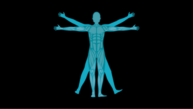 Image for Manual Osteopathic Therapy